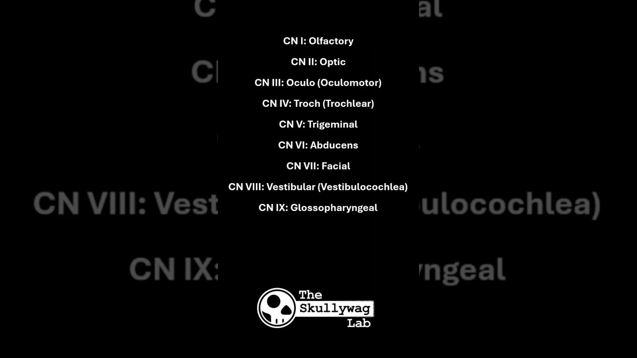 How to remember the cranial nerves