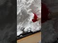 部屋からの雪おろし　block of snow #shorts #asmr #snow #wildlife #winter