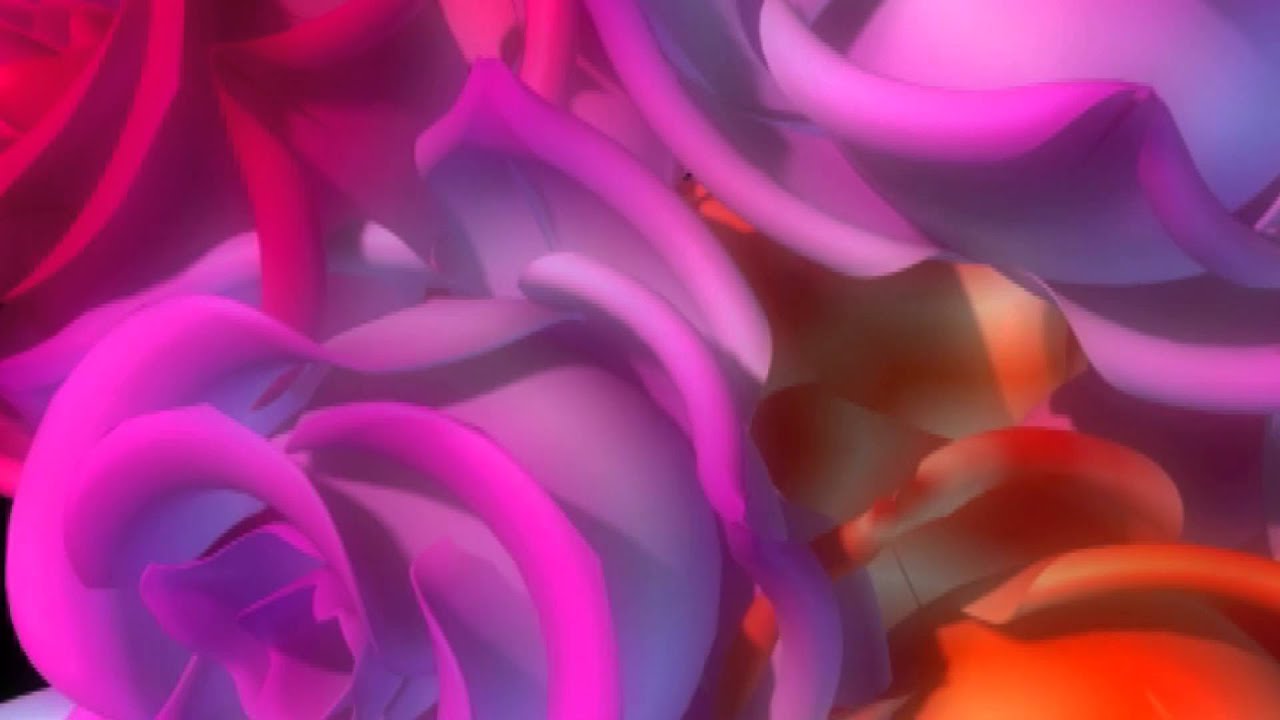 Футаж Розы переход - YouTube