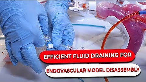 Efficient Fluid Draining for Endovascular Model Disassembly | SurgeonsLab AG