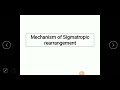 Mechanism of sigmatropic rearrangement
