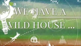 Kizoa Video Editor - Movie Maker Meet Joey