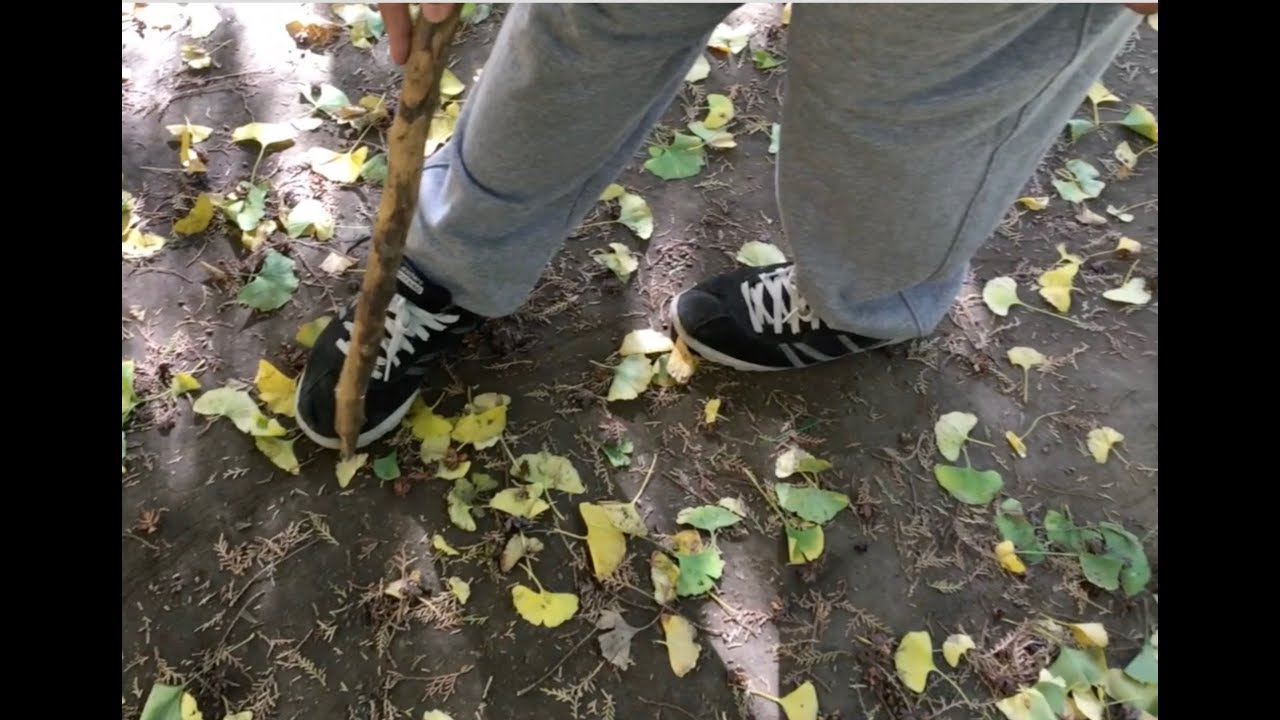 BaGuaZhang Stepping: The Foot Angle of Liang Circle Walking.