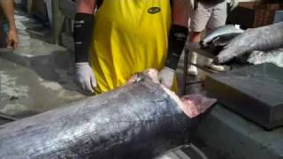 Barnegat Light, NJ Sunday October 4, 2009