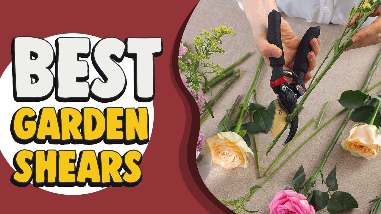 Best Garden Shears in 2021 Editor's Pick! YouTube