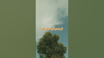 ما تيسر من سورة الزمر 🤍