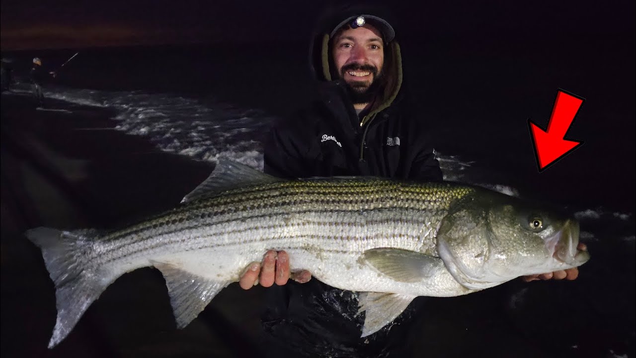 New Jersey Fall Run Striped Bass PB Surf Fishing Seaside Heights 2023 