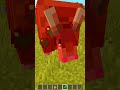 NUOVO MOB DI MINECRAFT: L' ARMADILLO! 🦔