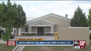 undocumented immigrants housed in pasco county