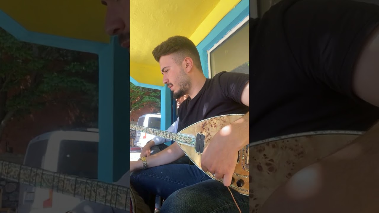 Ahmet Baltak & Aziz Baltak - Sevda Yüklü Kervanlar - Kahverengi Gözlerin.