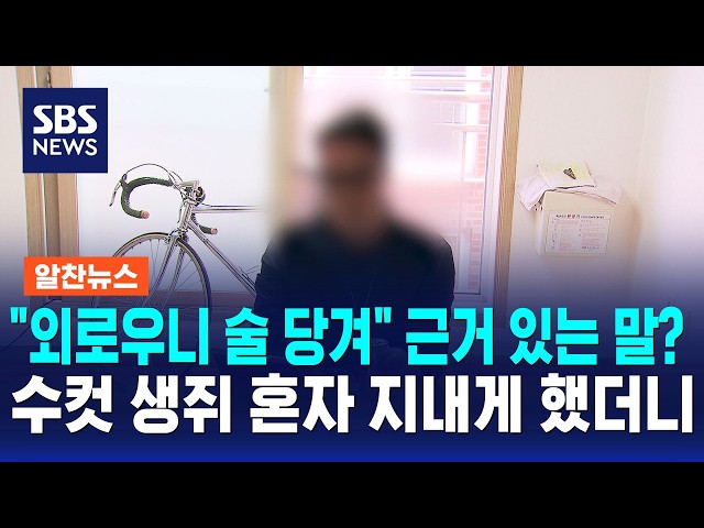 "외로우니 술 당겨" 근거 있는 말?..수컷 생쥐 혼자 지내게 했더니 / 알찬뉴스 / SBS 모닝와이드 2부