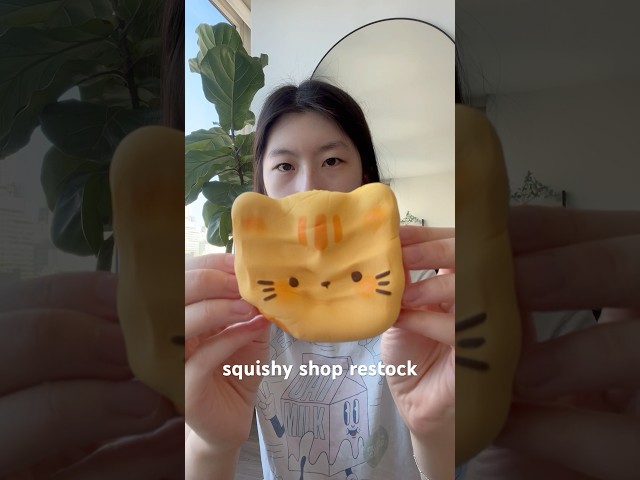 We restocked our squishy store!