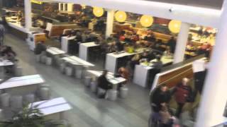 Screaming In Public Prank! [ 2015 ]