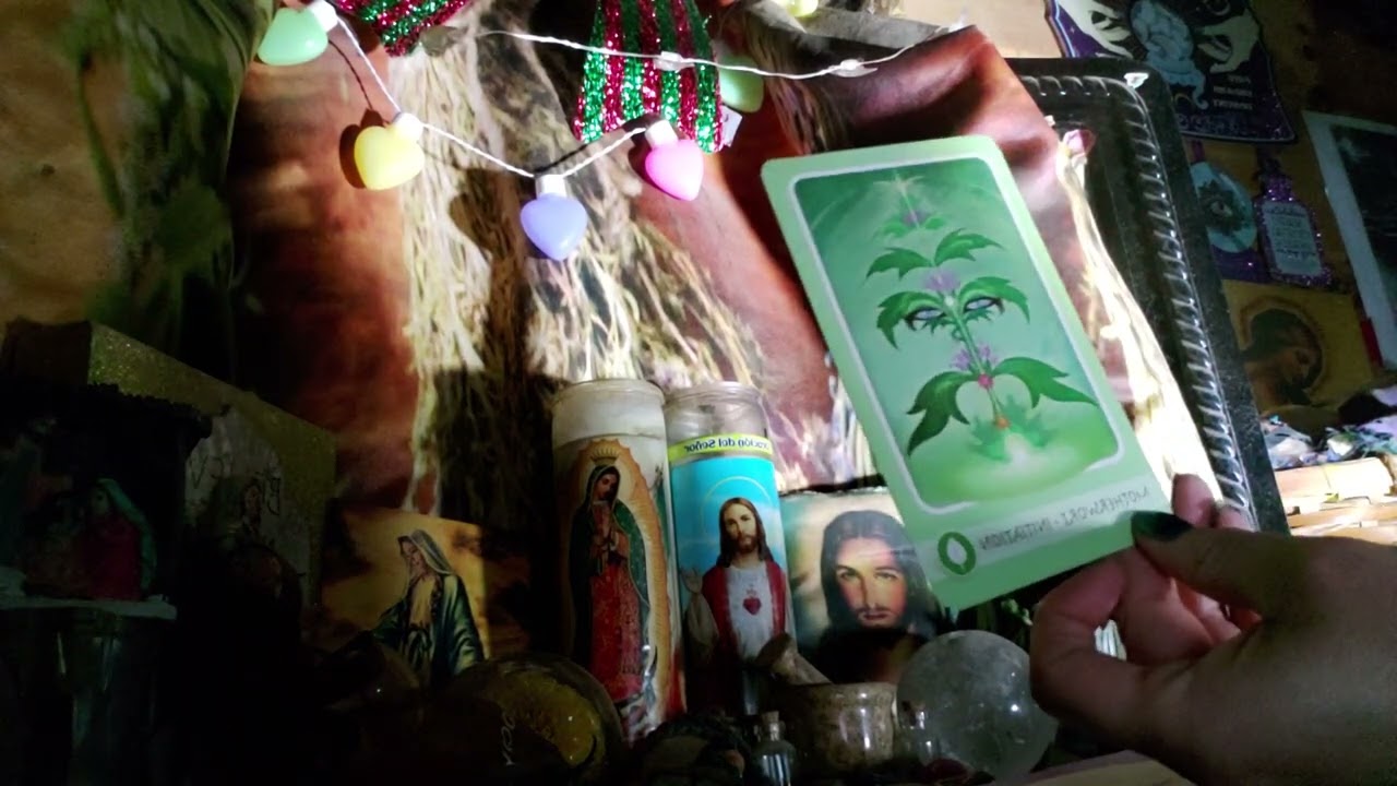 Скорпион ♏ Вы преодолеете эту стрессовую финансовую ситуацию и проблемы в отношениях с матерью 🔮