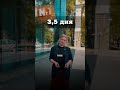 За сколько дней или часов заработают молдавские компании 1 миллион леев?