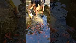 Lagi Ngapain Sihh De Aksya Sama A Fasya