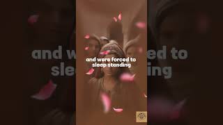 The Eccentric Reign Of Ismail Sharif A Gaze-Driven Era Of Power And