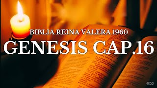 Sports Performance Spoken Bible-Reina Valera Bible 1960-Genesis Chapter 16