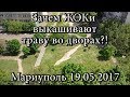 Зачем ЖЭКи выкашивают траву во дворах?! Мариуполь 19.05.2017 / Why ZhEKi weed out the grass in yards