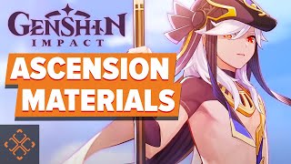 Genshin Impact: Cyno's Ascension Materials Guide
