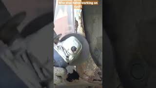 Anyone Else Had A Sill This Bad...or Worse??