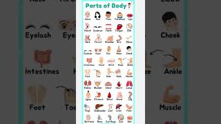 50 parts of body name vocabulary in english with pictures #bodypart #vowels #corevocabulary