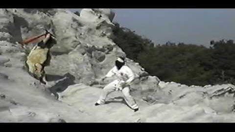 The Red Ninja 2.1 (2009)