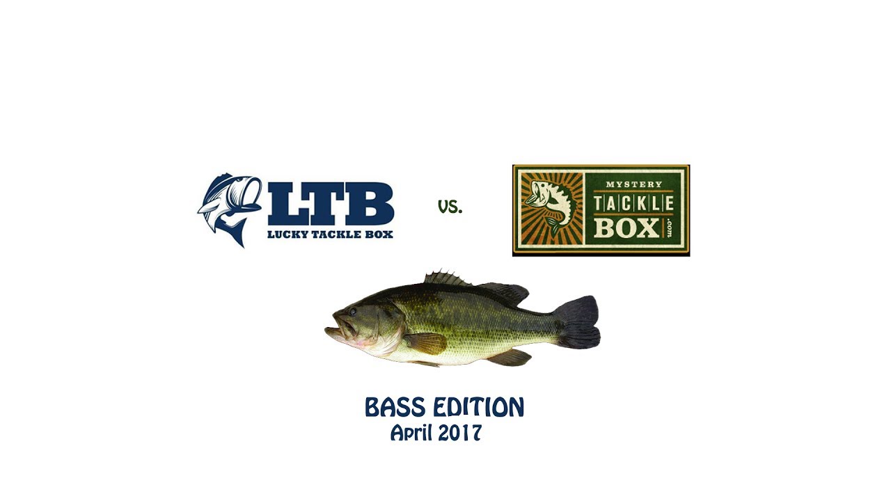 April 2017 MTB vs. LTB Bass Box