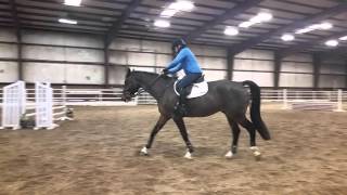 Anne Kursinski On Murray