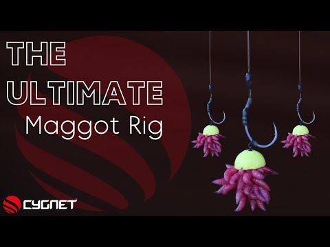 BAS DE LIGNE MONTÉS MAGGOT CLIP RIG