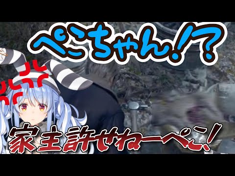 【ホロライブ切り抜き】じじぃとばばぁにひたすら辛辣なぺこら【バイオre４/兎田ぺこら】