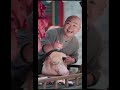 أفضل مسلسل كوري مدبلج عربي الإمبراطورة زوجة الأب 