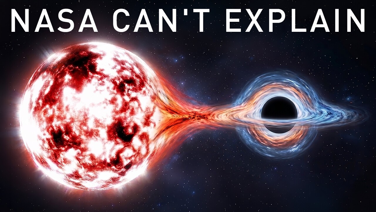 Black Hole Star Absorption and Spaghettification