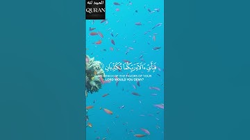 { فَبِأَيِّ آلَاءِ رَبِّكُمَا تُكَذِّبَانِ } _ القارئ عمير شميم