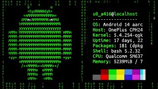 Top 5 Termux cool commands 2025