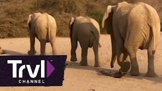Why You Should Visit Africa's Skeleton Coast - Travel Channel