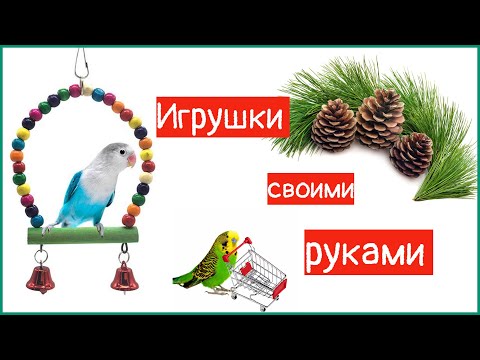 Игрушки ДЛЯ попугая СВОИМИ руками ИЗ шишек!