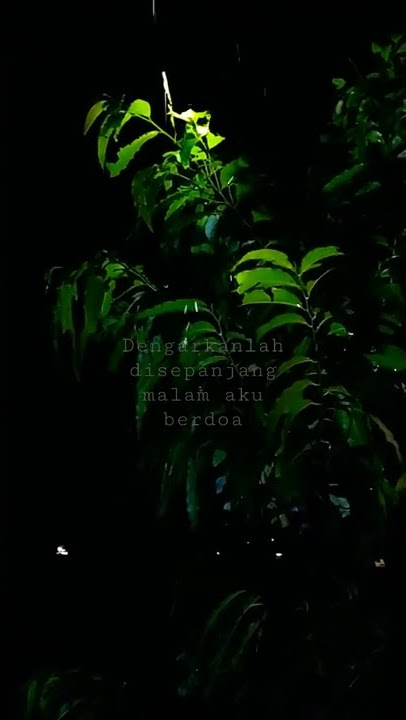 MENTAHAN VIDEO AESTHETIC  BUAT QUOTES TIKTOK