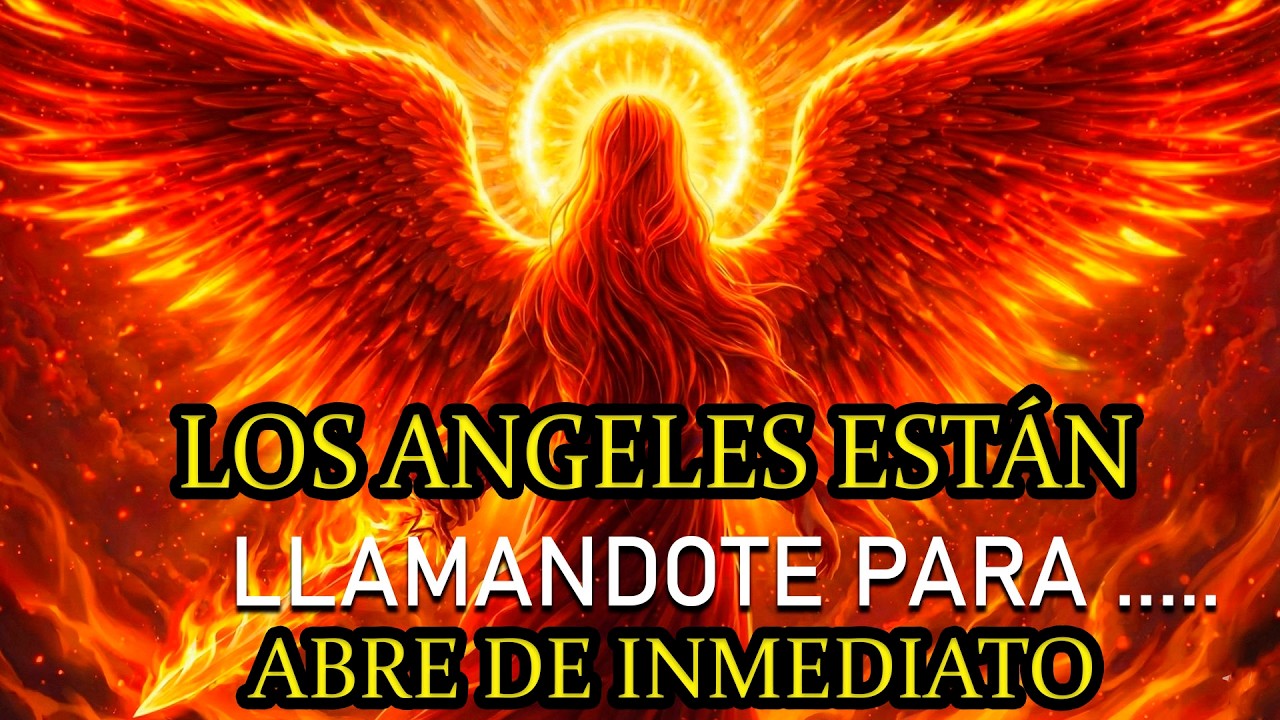 🔴 URGENTE! ¡¡La prueba ha terminado!! A las ..., El Cielo Prepara Tu RECOMPENSA 👑✨