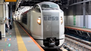 E259系ｸﾗNe007編成（新塗装）が渋谷駅3番線に到着停車するシーン（2024.5.2.13:04）