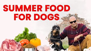 Summer Food for Dogs & Puppies | All Breeds Full Day Diet Plan | Adult Diet Chart | Baadal Bhandaari