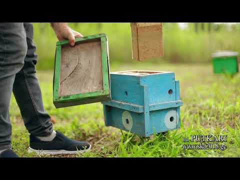 ltd futkrebiska2018.ge   მეფუტკრეობა საქართველოში, სამტრედია, სოფელი ბაში