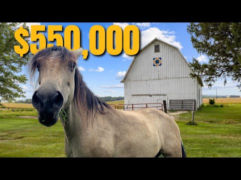 5640 Lower West Branch Rd SE, West Branch, IA home video tour