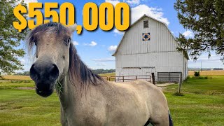 5640 Lower West Branch Rd SE video tour