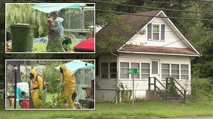 Child removed from New Jersey home after more than 30 dogs found dead inside: officials