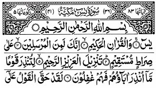 Surah Yaseen recitation | copyright free | #islam