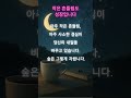 작은 흔들림도 성장입니다  #좋은글 #좋은글귀 #명언 #감성 #공감