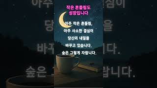 작은 흔들림도 성장입니다  #좋은글 #좋은글귀 #명언 #감성 #공감