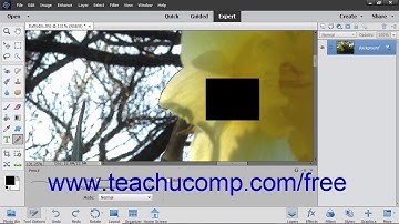 Photoshop Elements 2019 Tutorial The Pencil Tool Adobe Training
