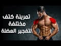 تمرينة كتف كاملة لتضخيم و تكوير عضلة الكتف في وقت سريع | ساموي